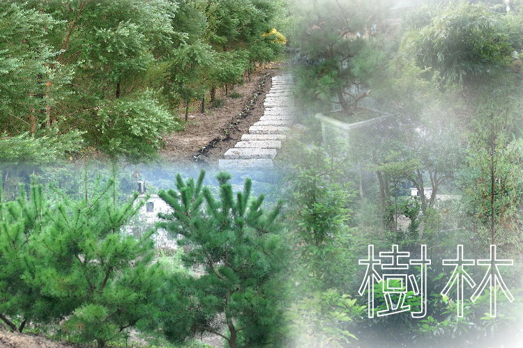 樹園
