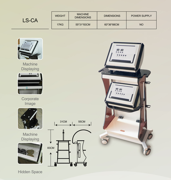 LS-CA CA Double layer trolley